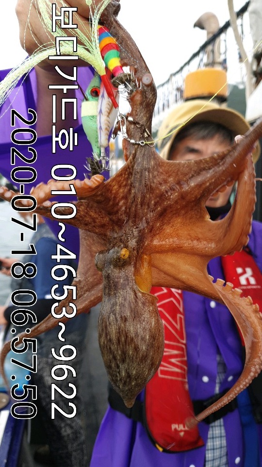 20. 7. 18 ★ 돌문어 조황 :)