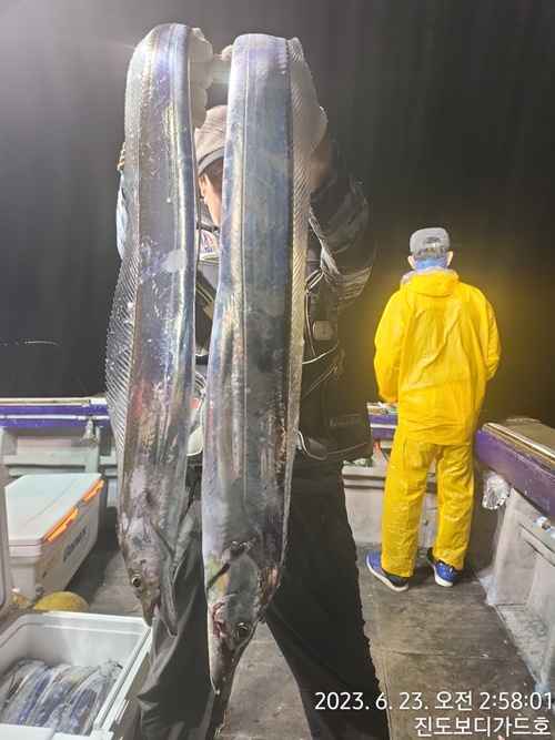 #보디가드호 "심선장" 왕갈치 조황입니다. >> 고흥 >> 녹동항>> 출조 <<자리여유>>