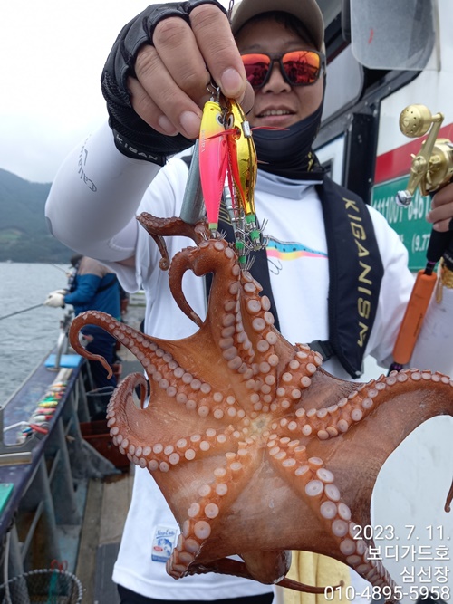 23.7. 11 #심선장 #고흥 #여호항 #돌문어 #조황