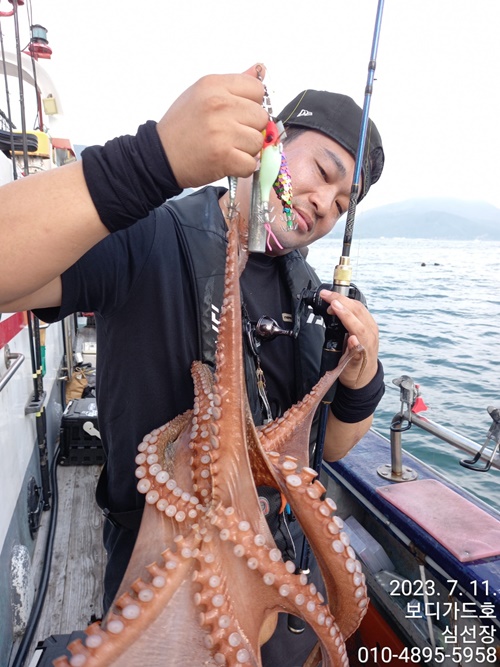 23. 7. 11 ★ 심선장 ==>> 돌문어 실시간 조황입니다. <<자리여유 많이 있씁니다.>>
