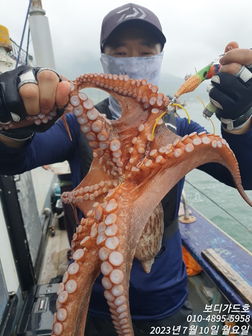 23.7.10 ★ 고흥 <여호항> 돌문어 실시간 조황 << 내일 자리여유>>