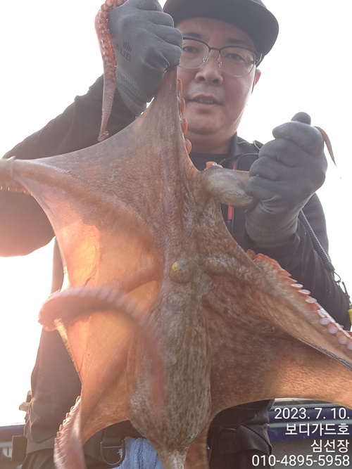 23. 7. 10 #보디가드호 "심선장" 고흥 <여호항> 돌문어 굿 조황<<내일 자리여유>