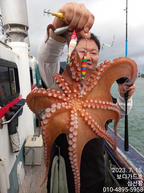 #보디가드호 #심선장 #녹동항 #돌문어조황