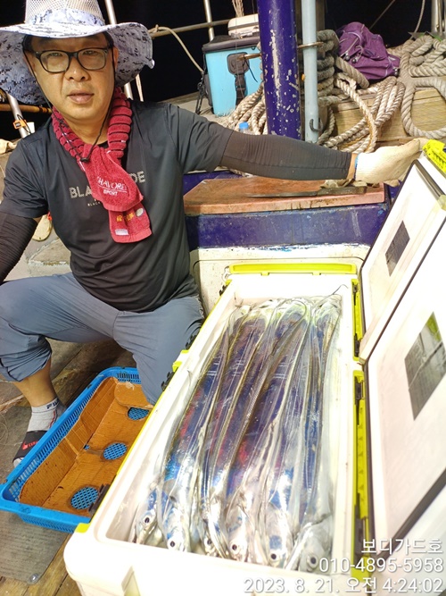 #진도보디가드호 #심선장 #왕갈치쿨러만땅조황 #16석 #자리여유 #투채비가능