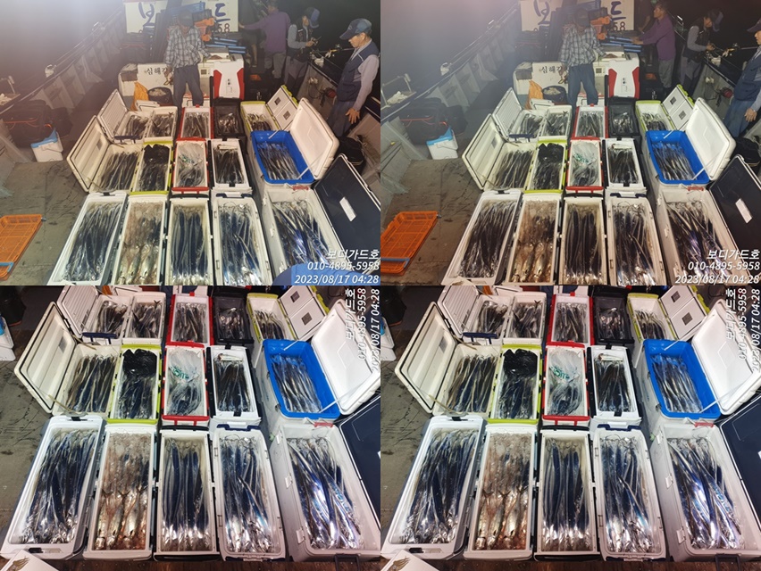 23.8. 16 ★ #심선장 #오늘도 #쿨러가득 #16석 #자리여유