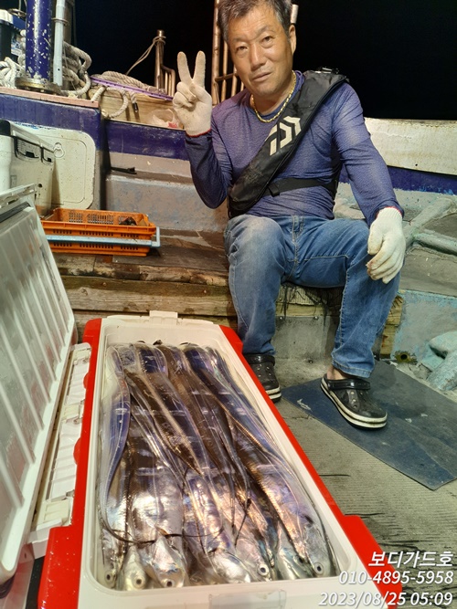 #진도보디가드호 #심선장 #왕갈치 #쿨러조황 #자리여유 #16석 #투채비