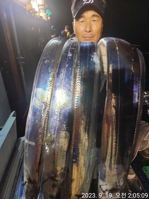 #진도보디가드호 "심선장" ==>> 왕갈치 조황입니다. <<자리여유 많이 있습니다. >>