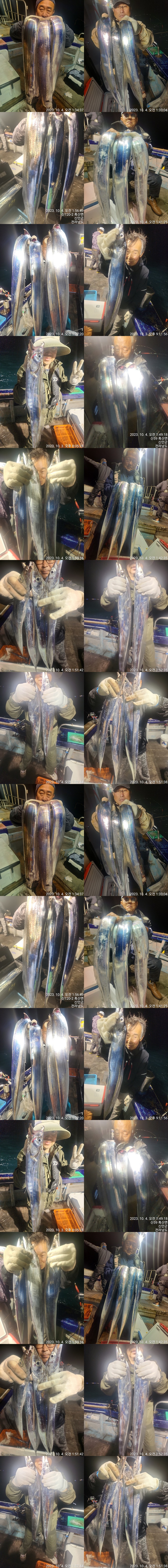 23. 10. 3 ★ #진도보디가드호 #심선장 #왕갈치조황 #자리여유