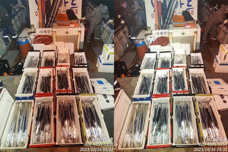 #진도보디가드호 #심선장 #왕갈치조황 #씨알이아주기냥 !!! #자리여유