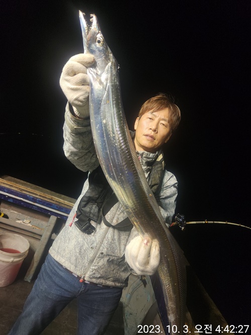 #진도보디가드호 "심선장" ==>> 왕갈치 조황<3.4.5지 잘 나옵니다 > / 오늘 자리여유