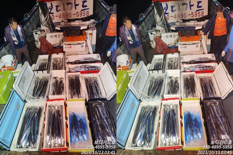 #보디가드호 #심선장 #왕갈치조황 #씨알굿!! #자리여유