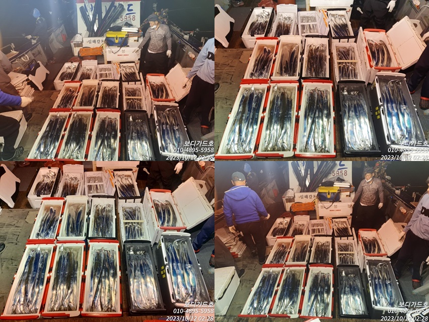 #보디가드호 #심선장 #왕갈조황 # 씨알아주죽음 #굿조황