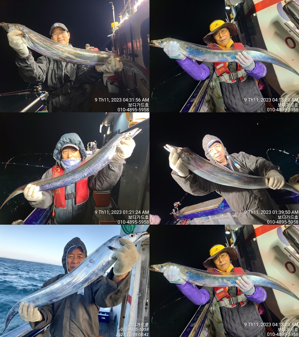 #보디가드호 #심선장 #왕갈치조황 #3~6지까지!! #씨알좋아 #출조연장