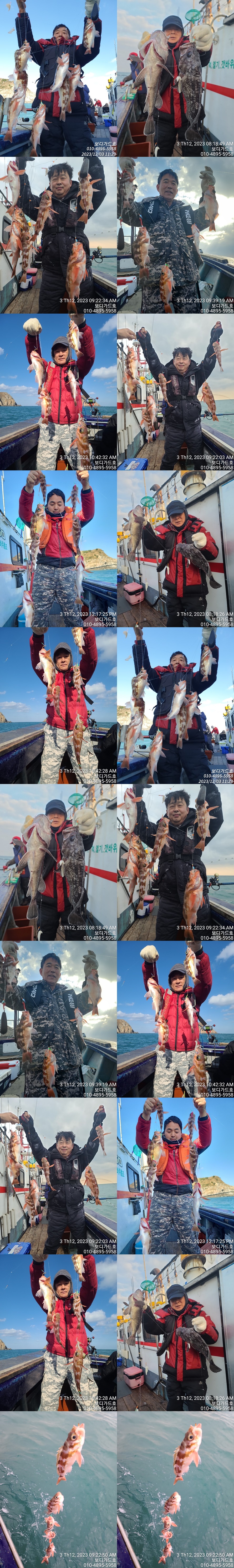 #진도보디가드호 #심선장 #왕열기#왕우럭 #실시간조황 #자리여유