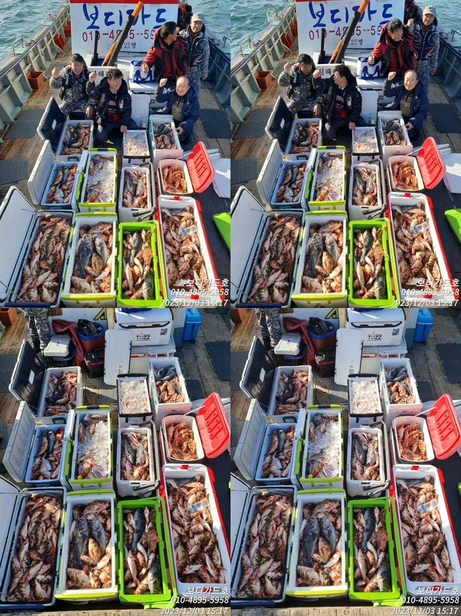 ★ 진도보디가드호 "심선장 " 왕열기+왕우럭 쿨러 조황입니다. <자리여유 >