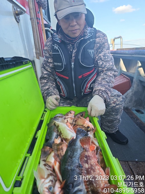 ★ 진도보디가드호 "심선장 " 왕열기+왕우럭 쿨러 조황입니다. <자리여유 >
