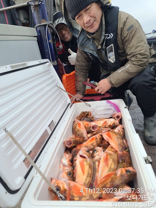 #진도보디가드호 "심선장" => 왕열기 + 왕우럭 조황 <<자리여유 많이 있습니다. >>