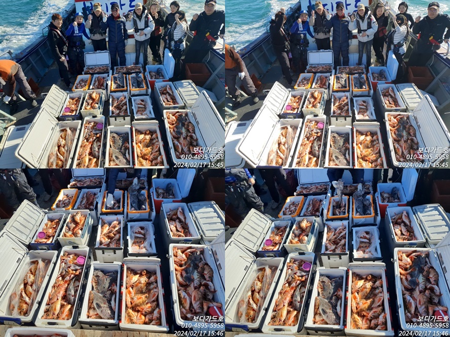 #진도보디가드호 #심선장  #왕열기+왕우럭 #쿨러 만땅 조황 <2/18(일)자리여유>