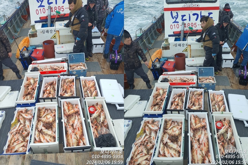 #심선장짱 #10분출조 #왕열기쿨러가득한조황 #자리여유