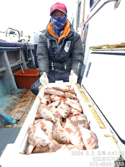 #진도보디가드호 #심선장 #왕열기쿨러조황 <자리여유 많이 있어요 >