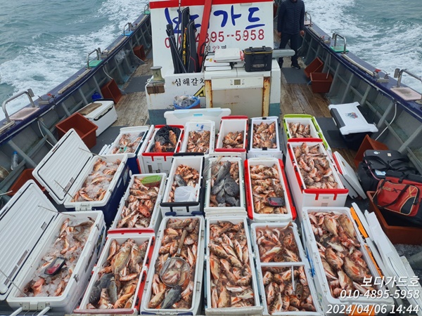 #진도보디가드호 #심선장 #왕열기조황 #열기꽃이 활~~짝!! 피었습니다. #자리여유