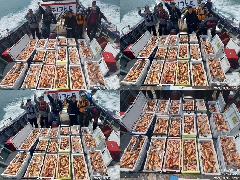 #진도보디가드호 #심선장 #왕열기&왕우럭 #열기꽃이 활~~짝 #쿨러가득