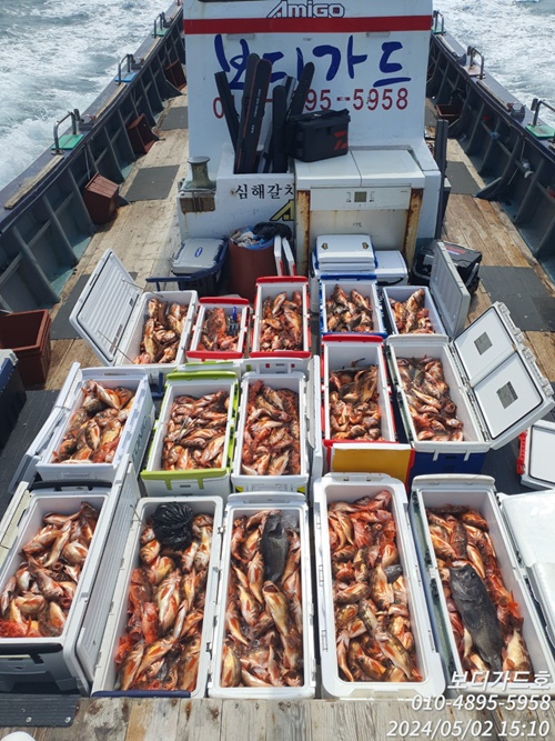 #진도보디가드호 #심선장 #왕열기 #쿨러굿조황 #자리여유