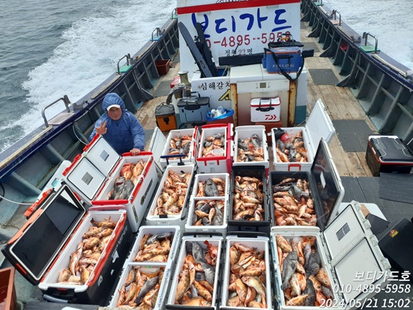 24. 5. 21 ★ "심선장 " 왕열기+왕우럭 #쿨러 가득!! 가득한한 조황입니다. <자리여유 많이 >