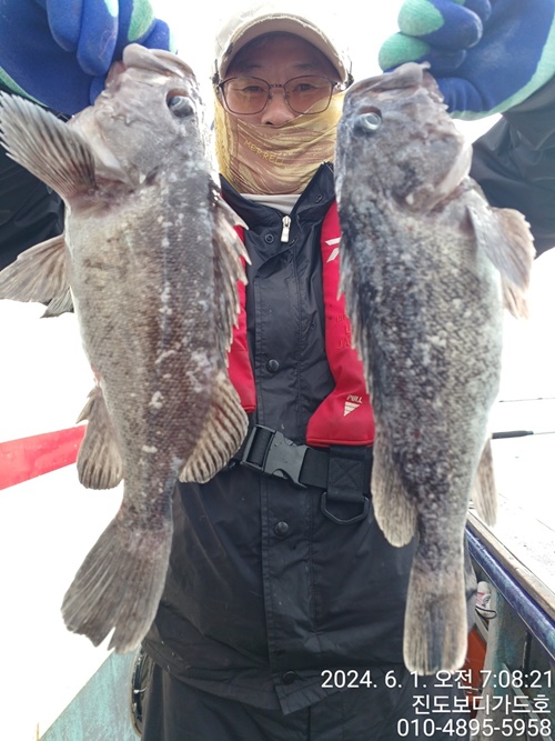 #진도보디가드호 #심선장 #왕우럭 #씨알 #좋은 #조황 #6/2(일)자리여유