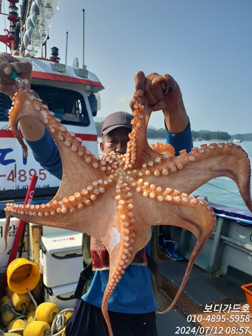 #보디가드호 #심선장 #고흥 #돌문어 #굿조황 #7/13(토)자리여유
