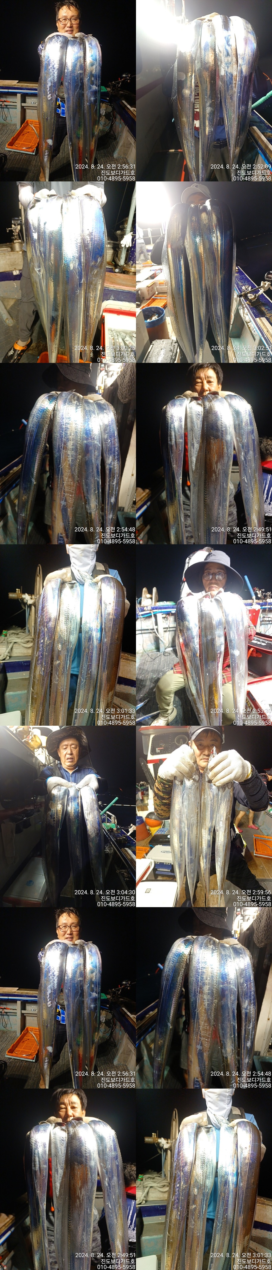 #진도보디가드호 "심선장" ==>> 왕갈치 조황입니다. <<자리여유 많이 있습니다. >>