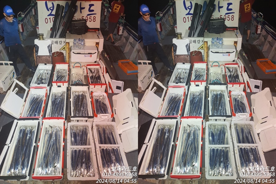 #보디가드호 #심선장 #왕갈치조황 #투채비가능 #자동봉돌투척기설치 #자리여유많이~