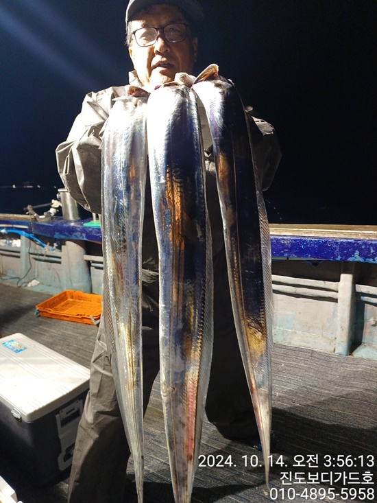 24. 10. 13 ★ #진도보디가드호 #심선장 #왕갈치조황 입니다. #자리여유