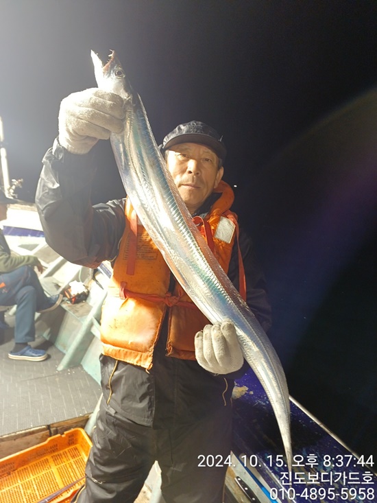 24. 10..15 ★ #진도보디가드호 #심선장 #왕갈치조황#다음주 #자리여유