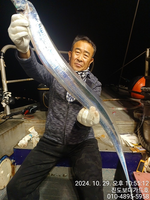 24.10.29 #진도보디가드호 #심선장 #왕갈치조황 #씨알좋아요~ #오늘 자리여우