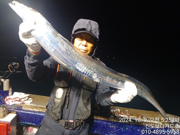 #진도보디가드호 #심선장 #왕갈치조황 #씨알은 좋아용 !