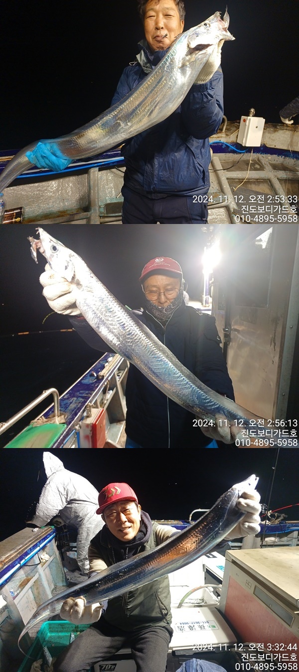 #진도보디가드호 #심선장 #왕갈치조황 #11/21(목)왕열기&왕우럭출조 #자리여유