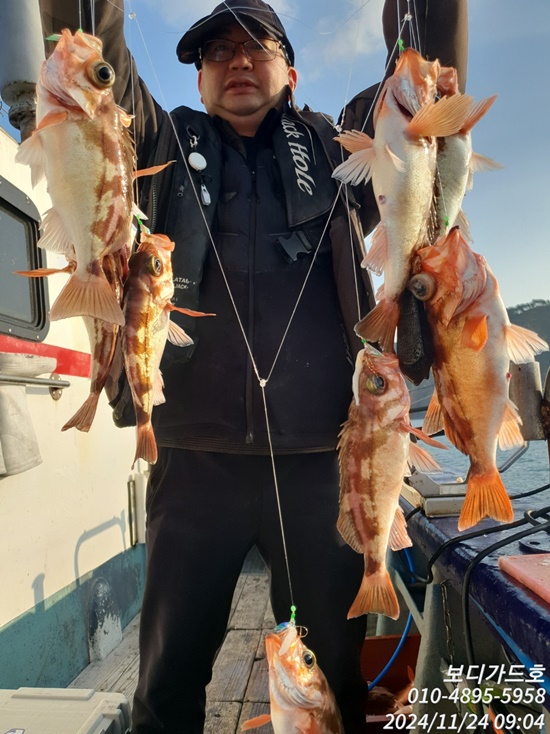 #진도보디가드호 #심선장 #10분출조 #왕열기&왕우럭 쿨러가득한조황