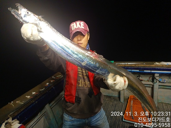24.11.03 ＃진도보디가드호 #심선장 #왕갈치조황 #자리여유많이