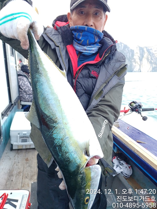 [진도보디가드호 ] ==>> 심선장 ==>> 방어 탐사 다녀왔습니다. < 열기+우럭+방어+농어+부시리 출조>