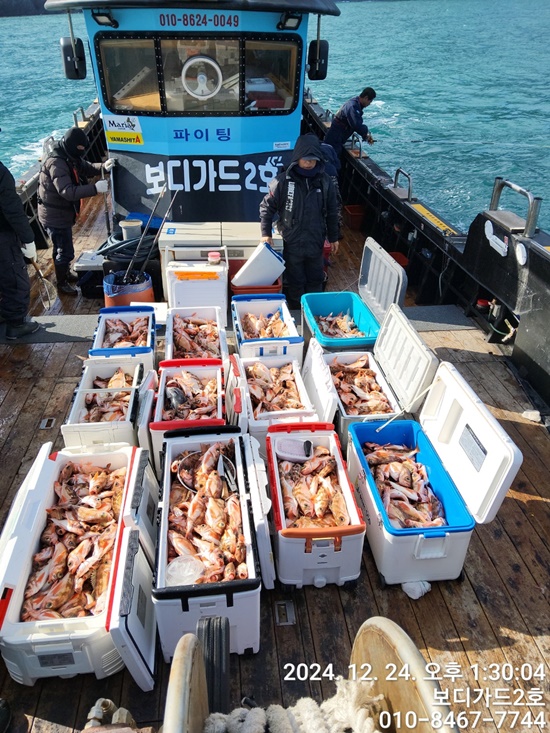 24.12. 24 #보디가드2호 #이선장 #왕열기 #쿨러조황 #다음주 #자리여유많이!!