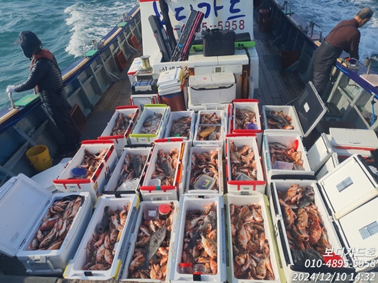 #진도보디가드호 #심선장 #왕열기 #왕우럭 #쿨러조황 #자리여유많이