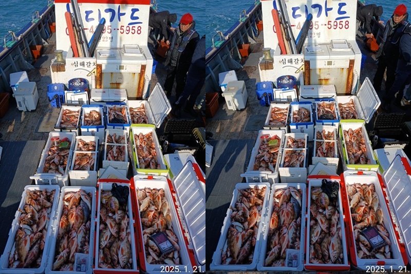 [보디가드호 ]"심선장 "=> 왕열기 쿨러조황 (1/23(목)2자리여유 ,1/24(금)7자리여유 있습니다.)