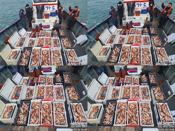 #진도보디가드호 #심선장 #왕열기쿨러가득한 #굿조황 #새해漁福 하십시요^^