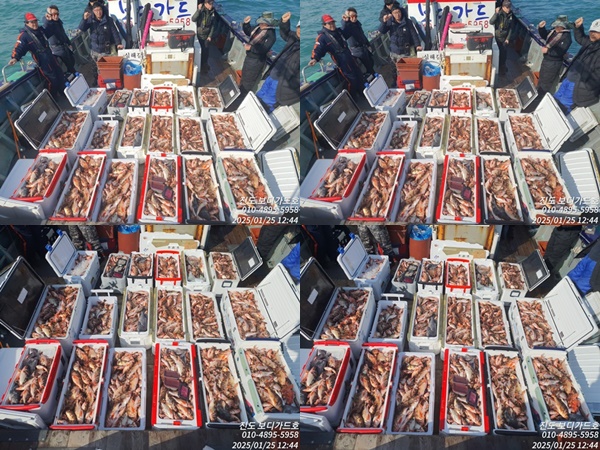 #진도보디가드호 #심선장 #왕열기 #쿨러가득한조황  #2월도자리여유많이