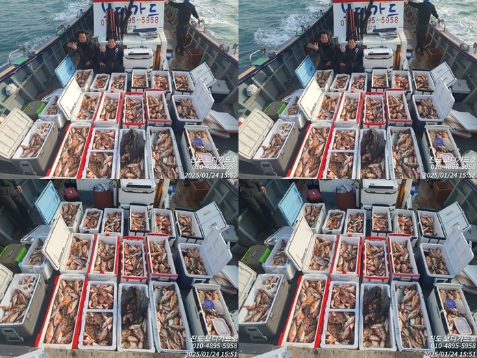 #진도보디가드호 #심선장 #왕열기 #쿨러굿조황 #2월 #자리여유많이