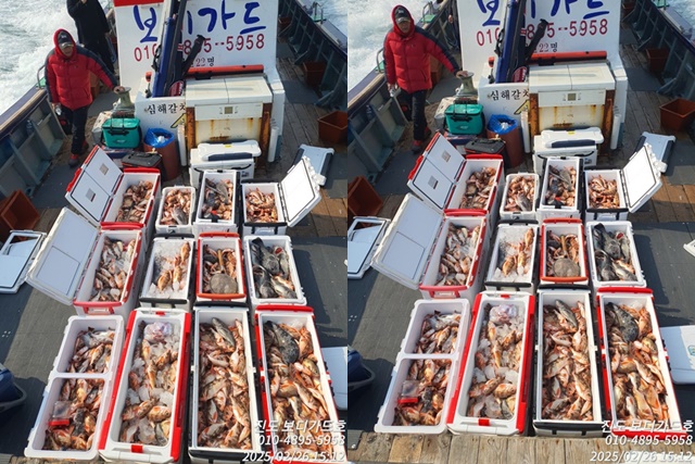 #보디가드호 #심선장 #왕열기조황 #다음주 #자리여유 있어요~