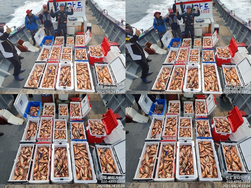 #심선장 #왕열기쿨러만땅!!! [ 오징어미끼 증정 / 소진시까지 / 4/26(토)/ 27(일) 자리여유]