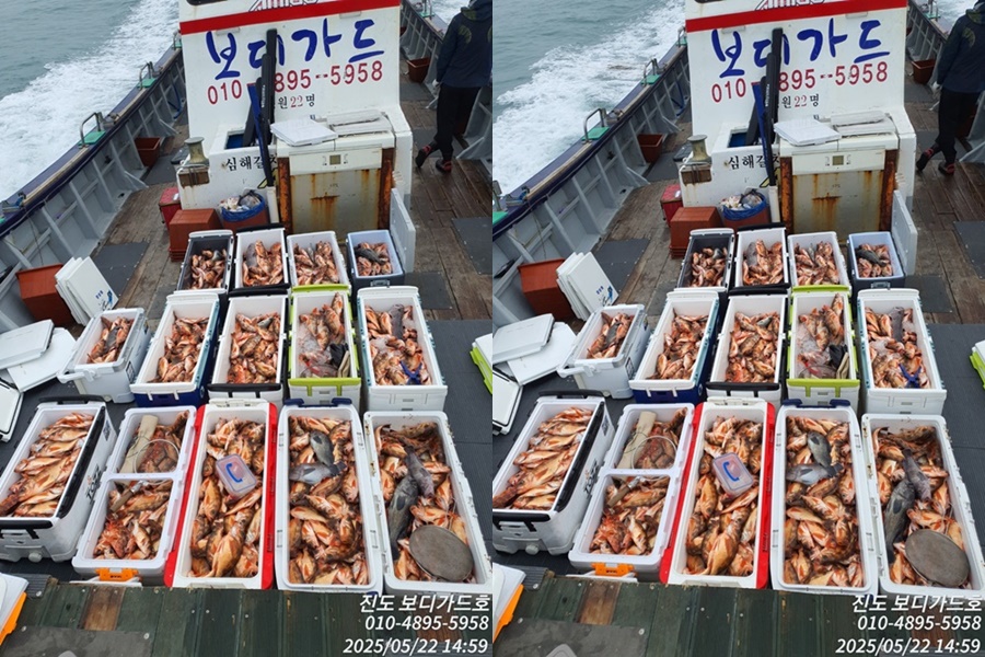 #진도보디가드호 #심선장 #왕열기 #쿨러가득!!! #쿨러만땅 #자리여유