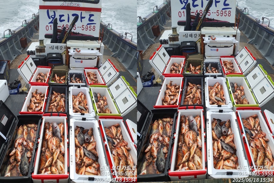 [ 진도보디가드호 ] "심선장 " 왕열기 조황입니다.